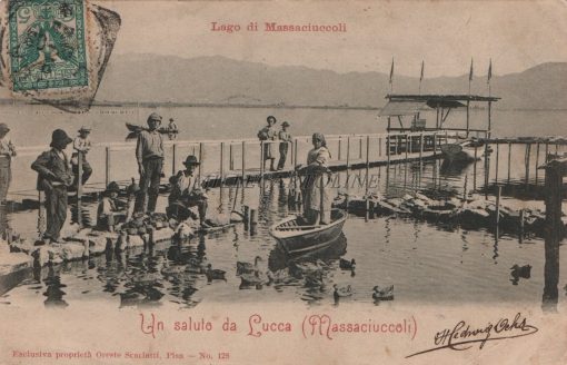 Cartolina Postale LAGO MASSACCIUCCOLI