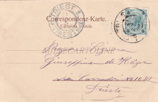 Alternative view of TRIESTE LIPPIZA - Cavalli al Pascolo 1900 L. Smolars